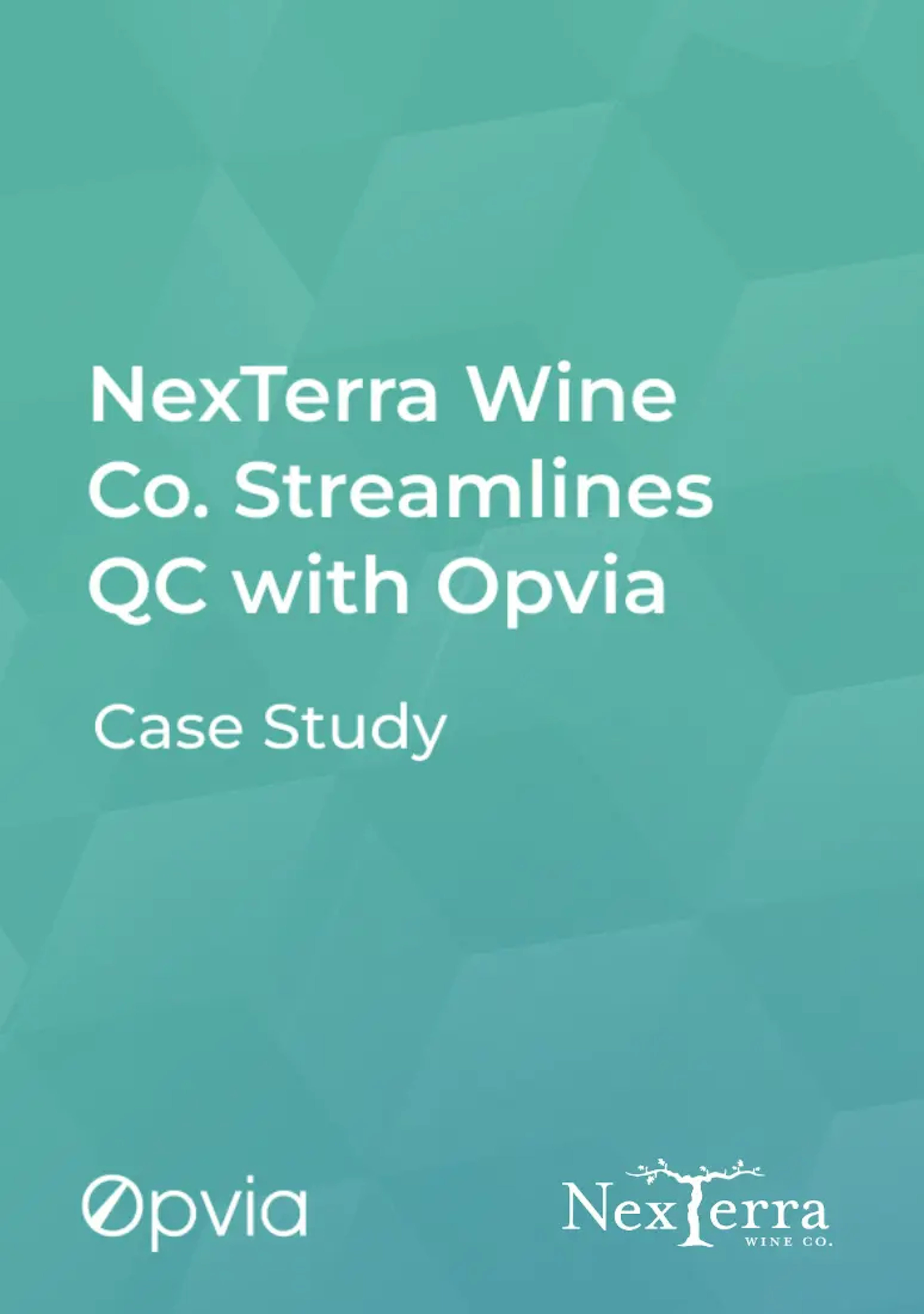 NexTerra Wine Company - Case Study